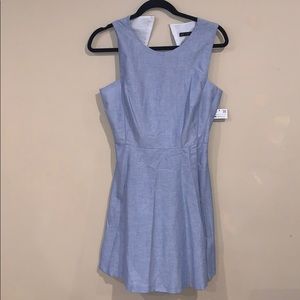 Beautiful Zara Dress (Medium)